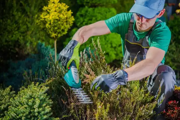 landscaping services Richmond Heights